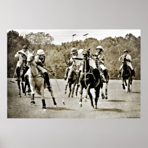 Galloping av polohästar poster
