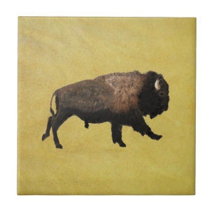 Galloping Bison Kakelplatta
