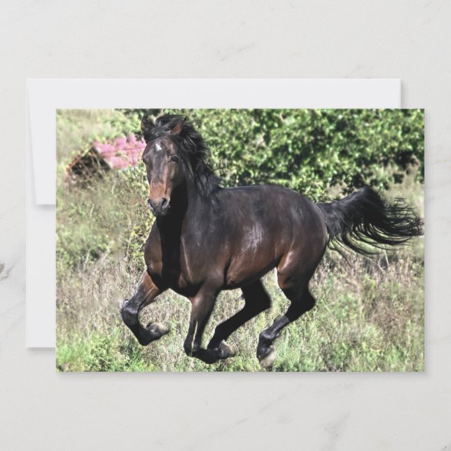 Galloping Chestnut Horse (Framsida)