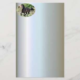 Galloping Chestnut Horse Brevpapper