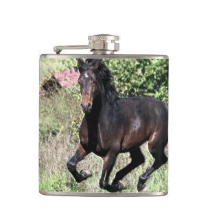 Galloping Chestnut Horse Fickplunta