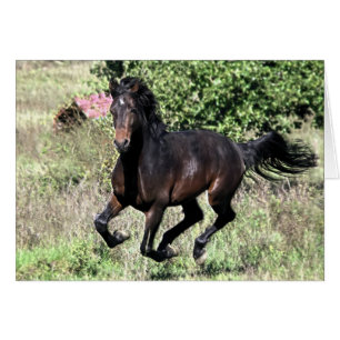 Galloping Chestnut Horse Hälsningskort