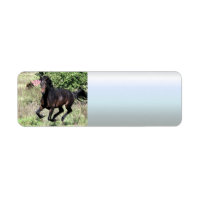Galloping Chestnut Horse