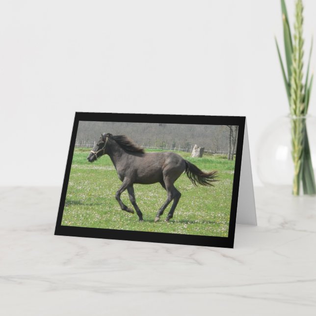 Galloping Colt Greeting Card Kort (Framsida)
