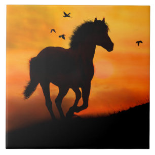 Galloping Horse in Sunset with Birds nature Kakelplatta