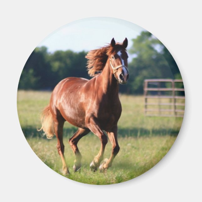 Galloping Horse Magnet (Framsidan)