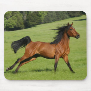 Galloping Horse Mousepad Musmatta