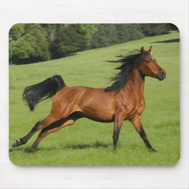 Galloping Horse Mousepad Musmatta (Framsidan)