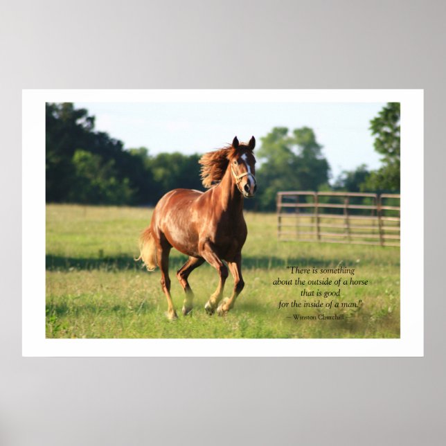 Galloping Horse Poster Skriv ut (Framsidan)