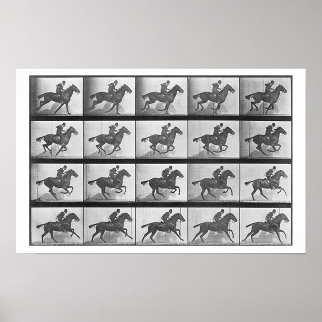 Galloping Horse, tallrik 628 från "Animal Locomoti Poster (Framsidan)