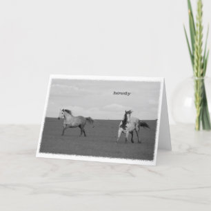 Galloping Horses in Pasture Greeting Card Kort