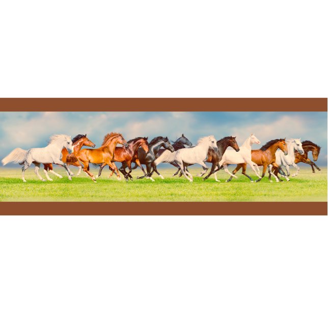 Galloping Horses T Shirt (Skapare uppladdad)