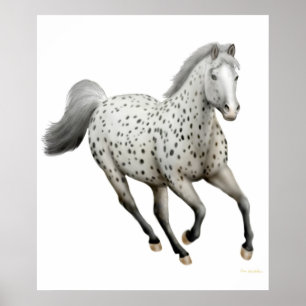 Galloping Leopard Appaloosa Horse Print Poster