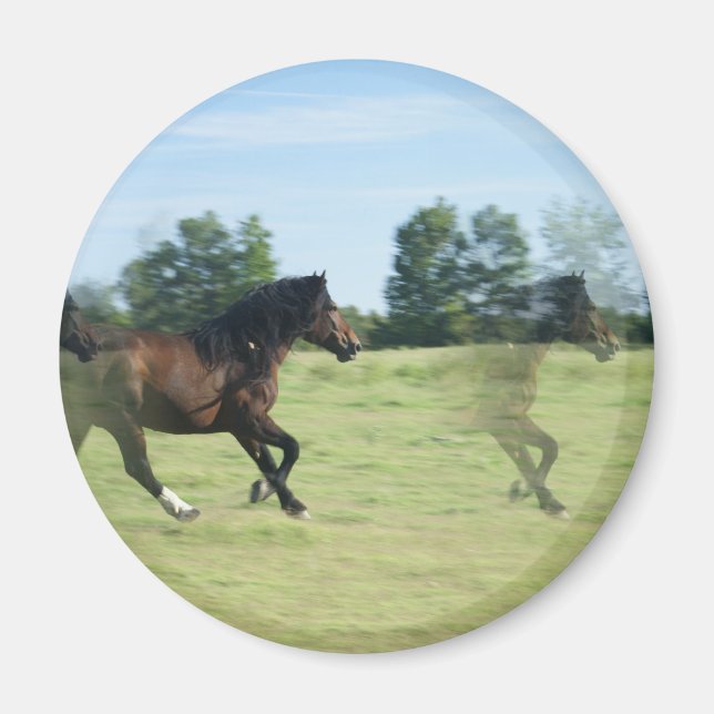 Galloping Mustangs Round Magnet (Framsidan)