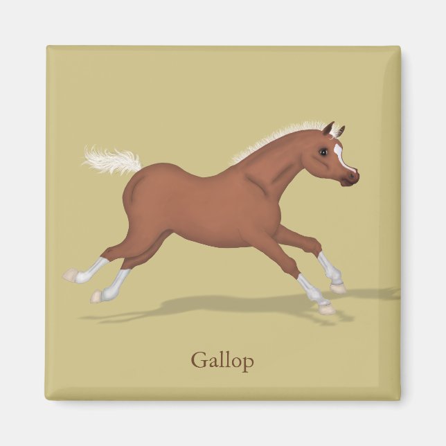 Galloping Sorrel Foal Gaits of the Horse Magnet (Framsidan)
