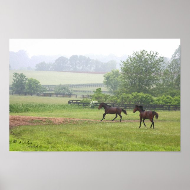 Galloping Standard Poster Horses (Framsidan)