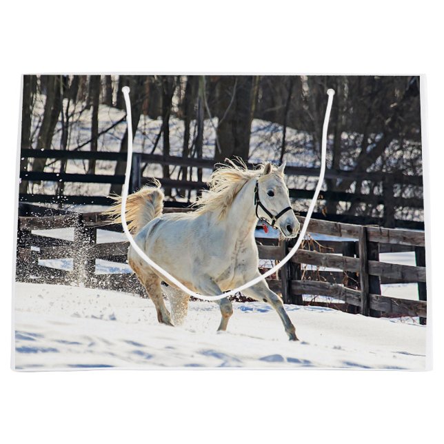 Galloping White Horse (Framsidan)