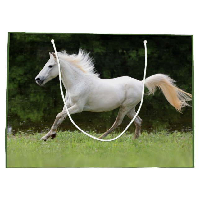 Galloping White Horse (Baksidan)