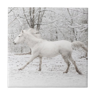 Galloping White Horse i Snö Kakelplatta