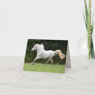 Galloping White Horse Kort