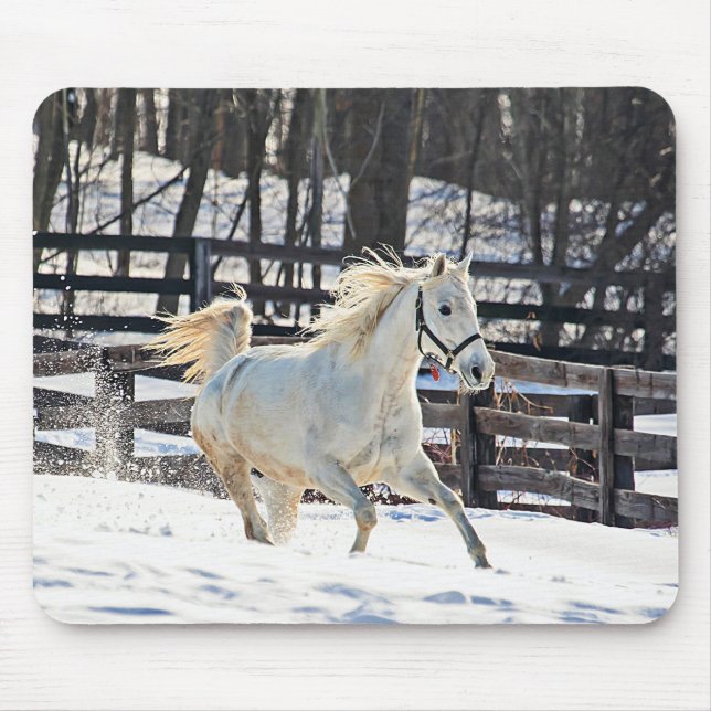 Galloping White Horse Musmatta (Framsidan)