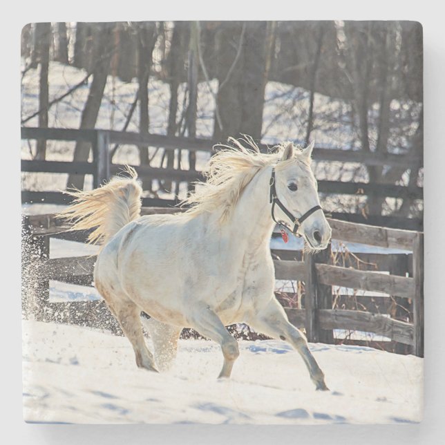 Galloping White Horse Underlägg Sten (Framsidan)