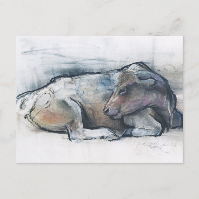 Galloway 2006 vykort (Framsida)