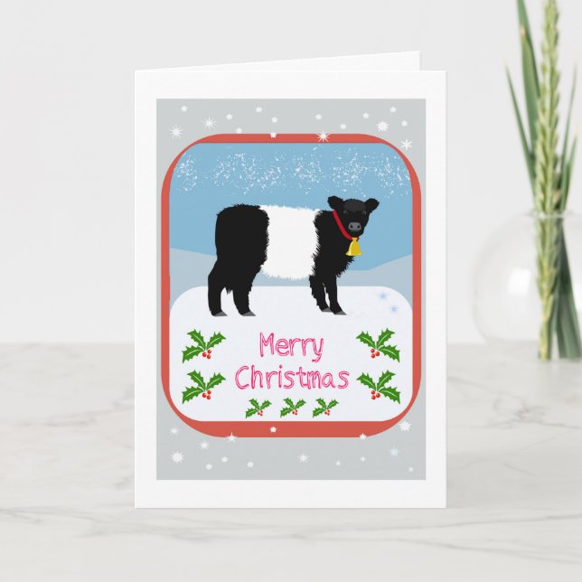Galloway calf Christmas card Tack Kort (Framsida)
