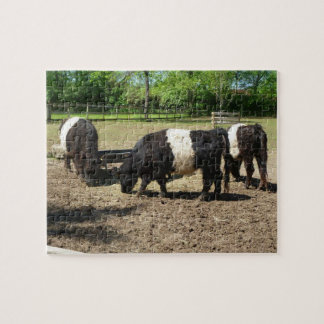 Galloway Cattle Puzzle Pussel