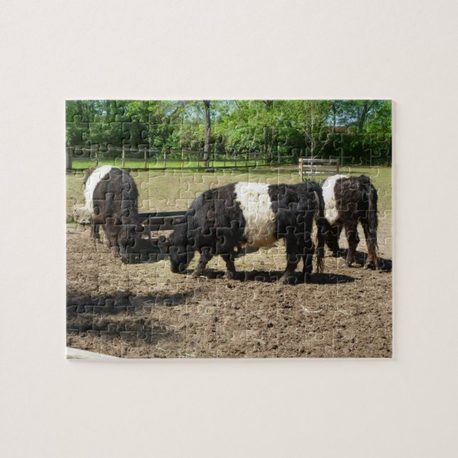 Galloway Cattle Puzzle Pussel (Horisontell)