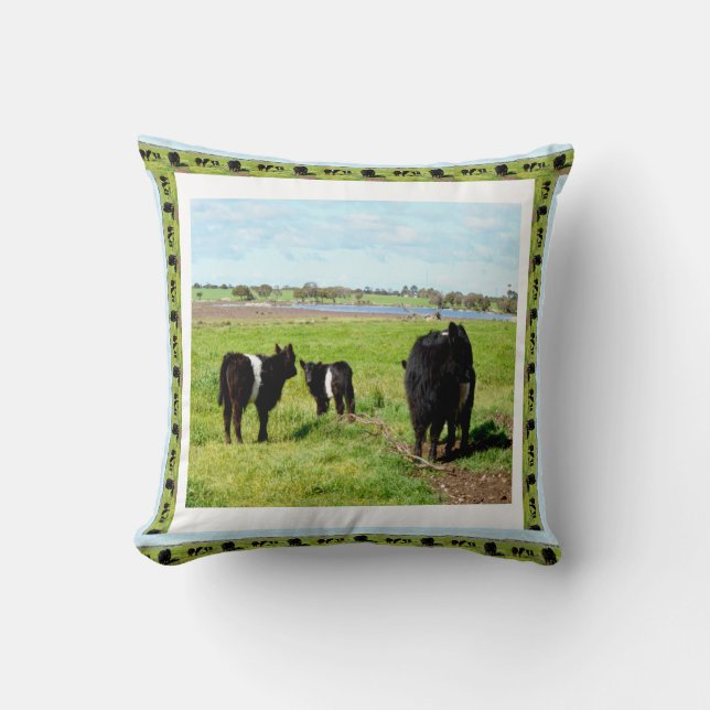 Galloway Cows Framed, Cushion Kudde (Framsida)