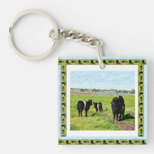 Galloway Cows Framed, Nyckelring