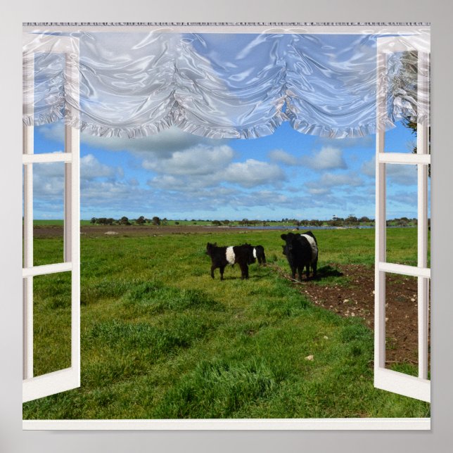 Galloway Cows through a Window, Poster (Framsidan)