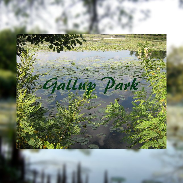 Gallup Park i Ann Arbor Vykort (Skapare uppladdad)