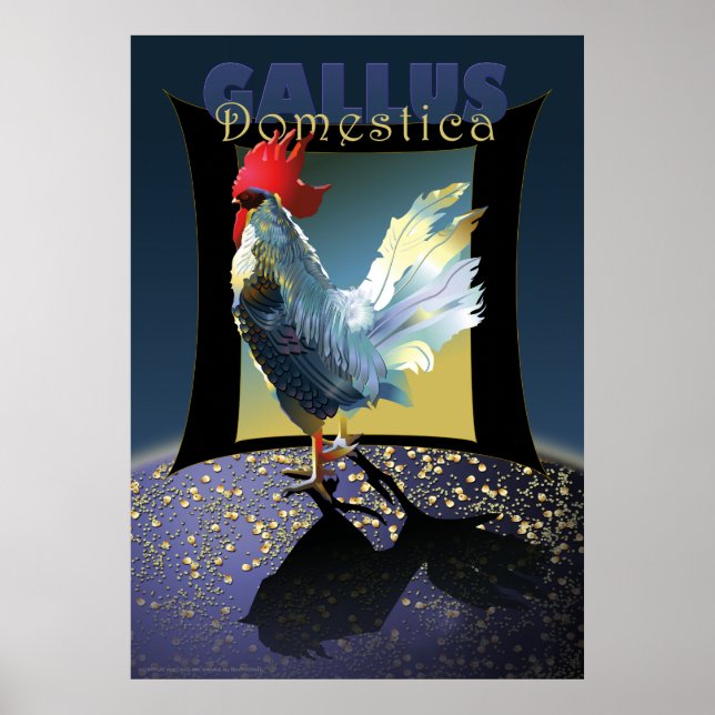 Gallus Domestica Poster (Framsidan)