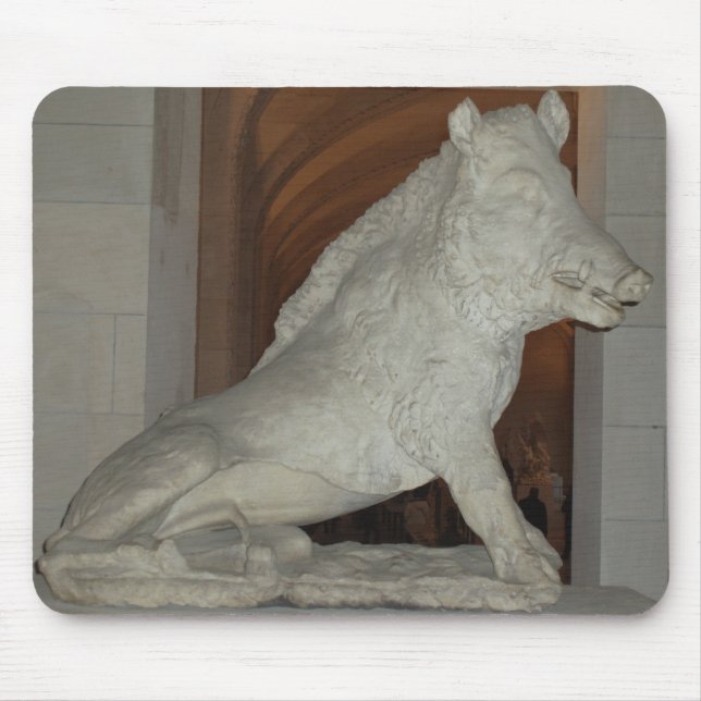 galning musmatta (Framsidan)