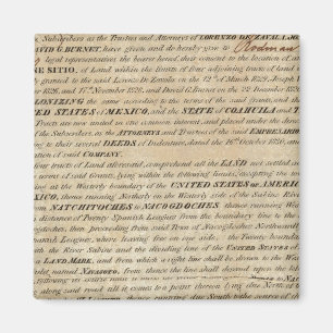 Galveston Bay och Texas Land Company Magnet