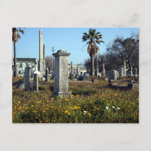 Galveston Graveyard Vykort