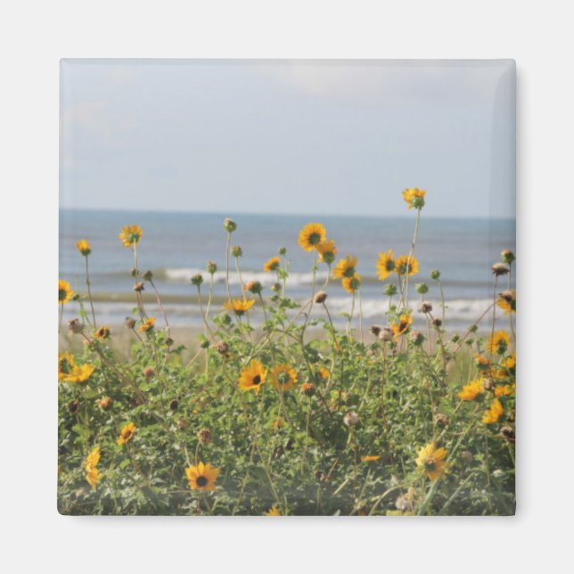 Galveston Island Beach Flowers Magnet (Framsidan)