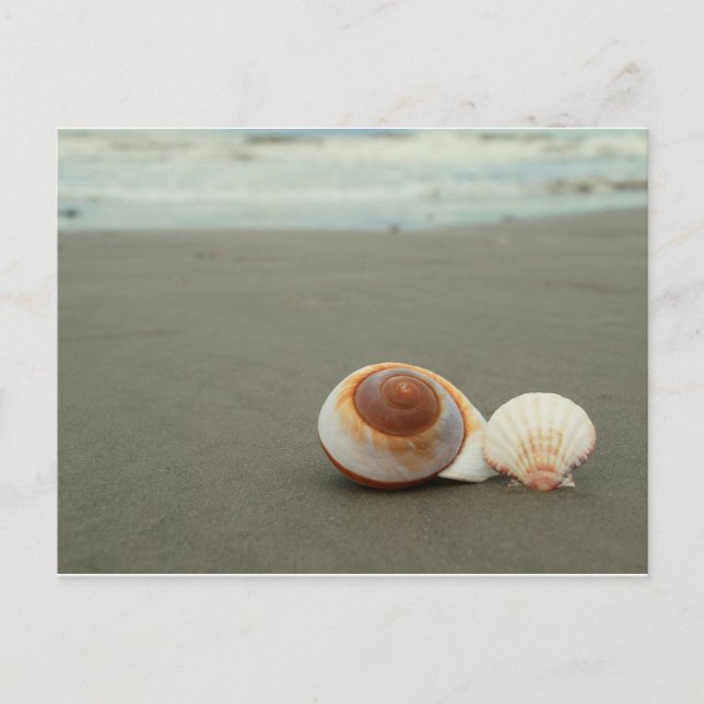 Galveston Island Postcard Vykort (Framsida)