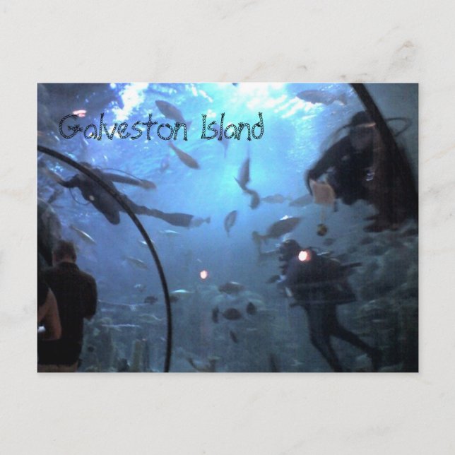 Galveston Island Vykort (Framsida)