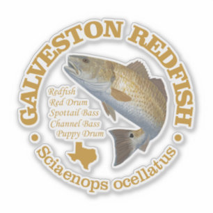Galveston (kungsfisk) klistermärken
