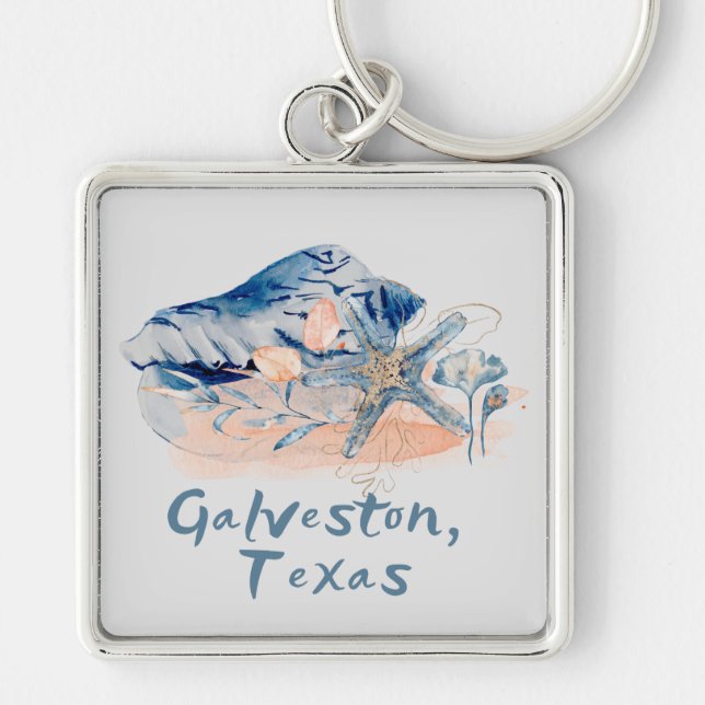 Galveston Texas Sniglar  Fyrkantig Silverfärgad Nyckelring (Framsidan)