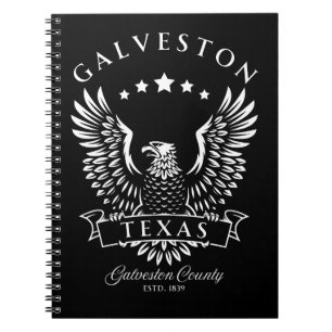 Galveston Texas Vintage Eagle Anteckningsbok