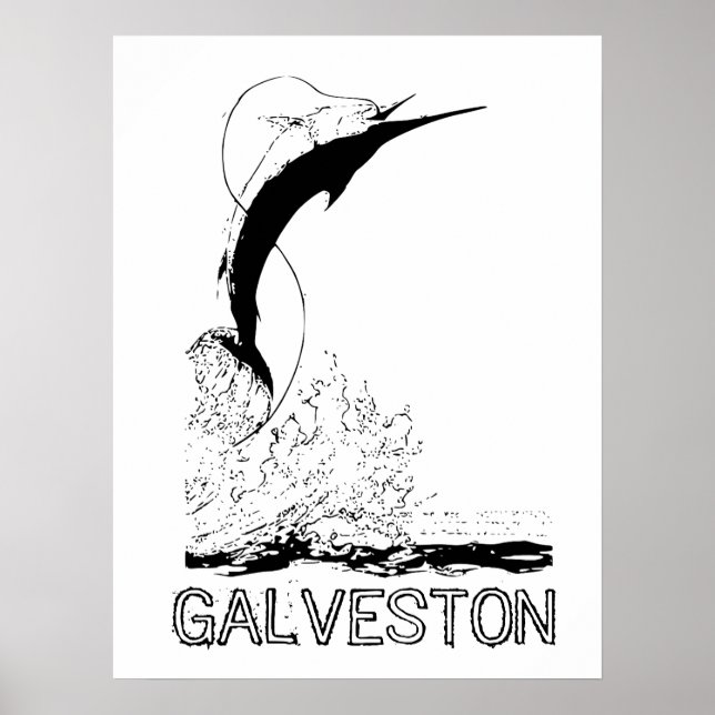 Galveston, TX Sportfish Poster (Framsidan)