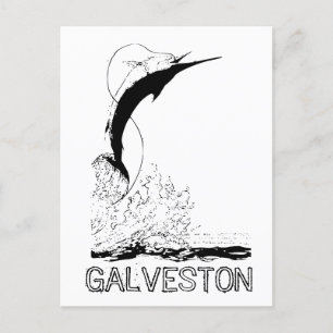 Galveston, TX Sportfish Vykort