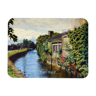 Galway City Ireland Scenia Canal View Magnet