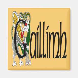 Galway (Gaelic) magnet