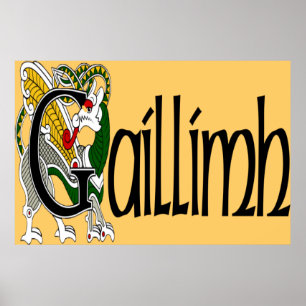 Galway (gaelisk) Poster Skriv ut