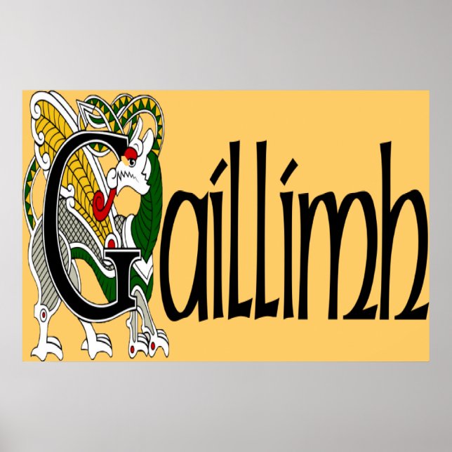Galway (gaelisk) Poster Skriv ut (Framsidan)